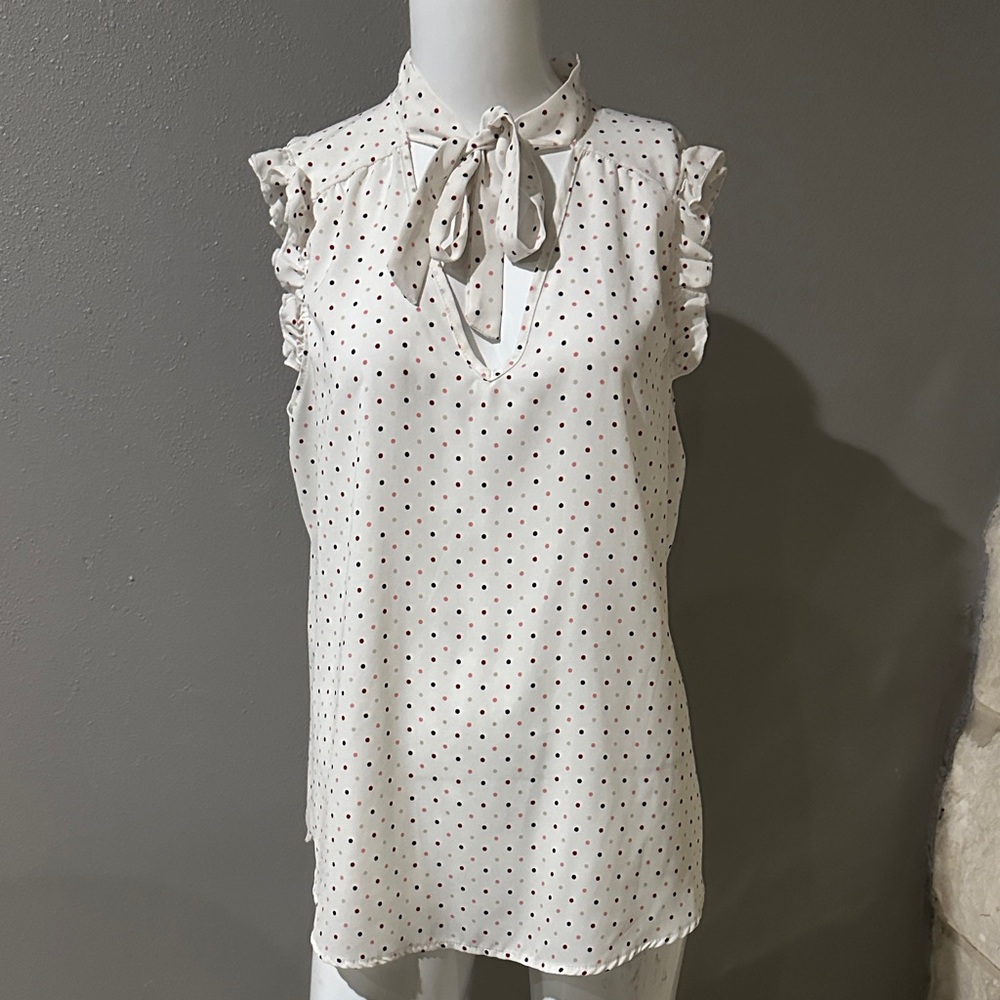 Polka Dot Ruffle Blouse